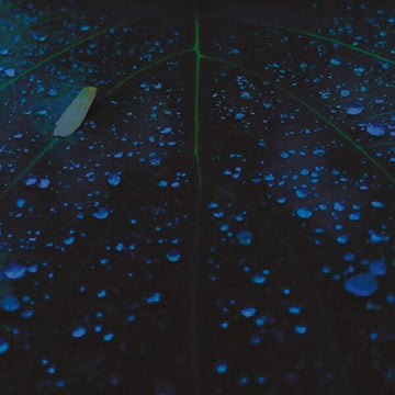 Let Me Put Myself Together