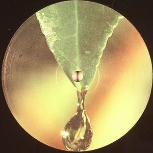 Psychotic Photosynthesis (No Drum Mix)