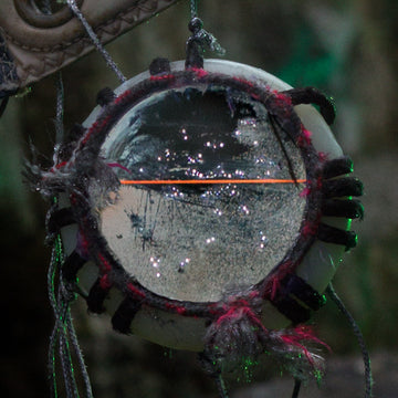 White Picket Fence / Joy Squad