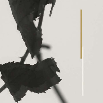 Grafts (Expanded Reissue)