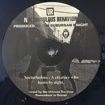 Nocturbulous Behavior