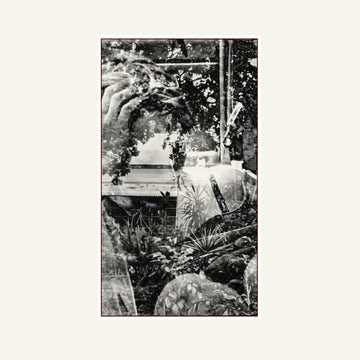 One Thousand Lonely Places