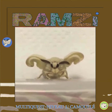 Multiquest Niveau 1: Camouflé