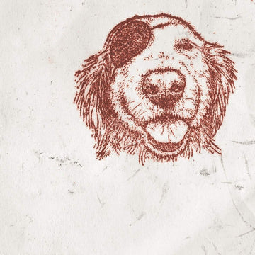 Dream House Tropicana Volume 5.5