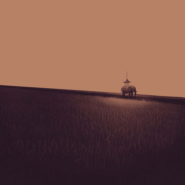 Myam James 2 (10th Anniversary)