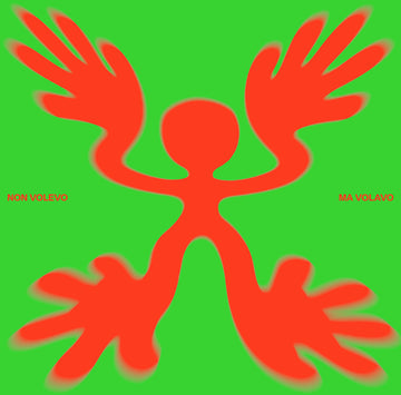 Non Volevo Ma Volavo